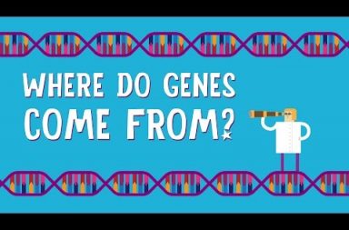 من أين تأتي الجينات