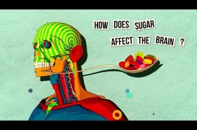 كيف يؤثر السكر على الدماغ